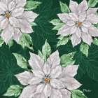 Fiona Poinsettias I - Green Art Print