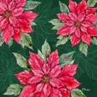 Fiona Poinsettias II - Green Art Print