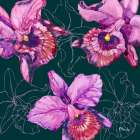 Hilo Orchids Art Print