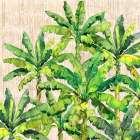 Hilo Palms VI Art Print