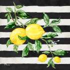 Sicilian Lemons I - Stripes Art Print