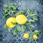 Sicilian Lemons I - Indigo Art Print