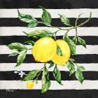 Sicilian Lemons II - Stripes Art Print