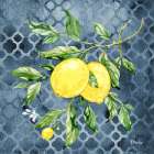 Sicilian Lemons II - Indigo Art Print