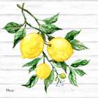 Sicilian Lemons III - Wood Art Print