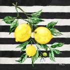 Sicilian Lemons III - Stripes Art Print
