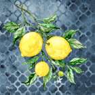 Sicilian Lemons III - Indigo Art Print