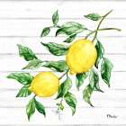 Sicilian Lemons IV - Wood Art Print