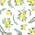 Sicilian Lemons Toss I Art Print