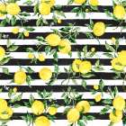 Sicilian Lemons Toss III Art Print