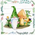 Spring Gnome III Art Print