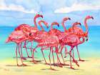 Hilo Flamingos Horizontal - Beach Art Print