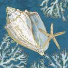 Playa Shells III - Indigo Art Print