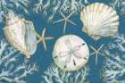 Playa Shells Horizontal - Indigo Art Print