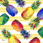 Hilo Pineapple Toss I Art Print