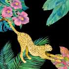 Wildcat Jungle III Art Print