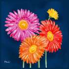 Helena Daisies I Art Print