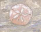 Impressions of Shells I - Sand Dollar - Peach Art Print