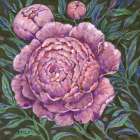 Impressions of Peonies Art Print