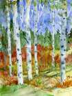 Autumn Birch Forest Art Print