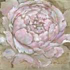 Impressions of Peony II Art Print