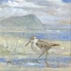Impressions of Sandpiper Art Print