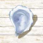 Oyster Woodgrain IV Art Print