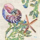 Spectrum Shells I ├óΓé¼ΓÇ£ Natural Art Print