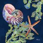 Spectrum Shells I Art Print