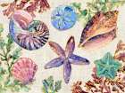 Spectrum Shells Horizontal ├óΓé¼ΓÇ£ Natural Art Print