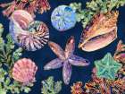 Spectrum Shells Horizontal Art Print