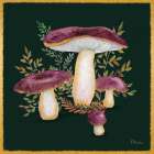 Gilded Mushrooms II Art Print