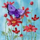 Poetic Butterfly III Art Print