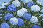 Impressions of Hydrangeas Horizontal II Art Print
