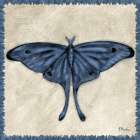 Belle Butterflies IV Art Print