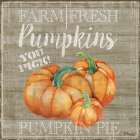Harvest Market IV Art Print