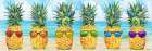 Lined Rainbow Beach Pineapples Art Print
