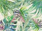 Spectrum Palm Fronds Horizontal II Art Print