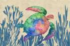 Tortola Turtle Horizontal - Natural Art Print