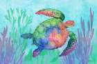 Tortola Turtle Horizontal Art Print