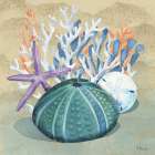 Monterey Urchin I - Sand Art Print