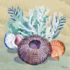 Monterey Urchin III - Sand Art Print