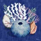 Monterey Urchin IV Coastal Print