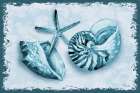 Perth Shells Horizontal Art Print