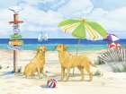 Dog Beach Day Horizontal I Art Print
