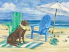 Grayton Beach Dog Art Print