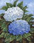 Impressions of Hydrangeas IV Art Print