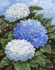 Impressions of Hydrangeas V Art Print