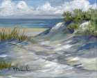 Dune Pathway - Left Art Print