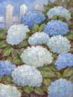 Impressions of Hydrangeas with a Picket Fence Art Print